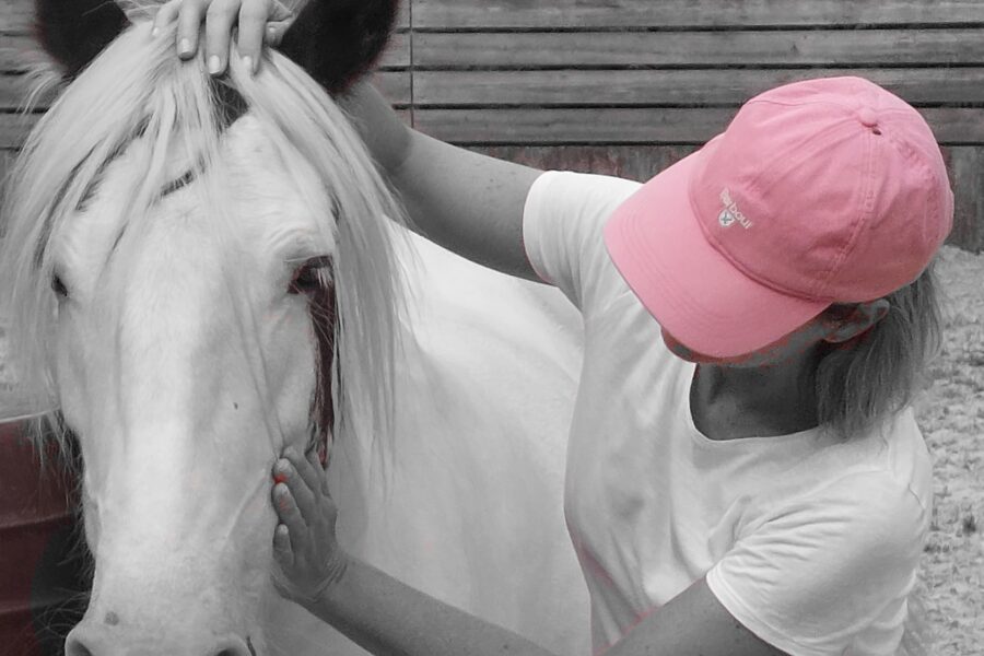Equicoaching